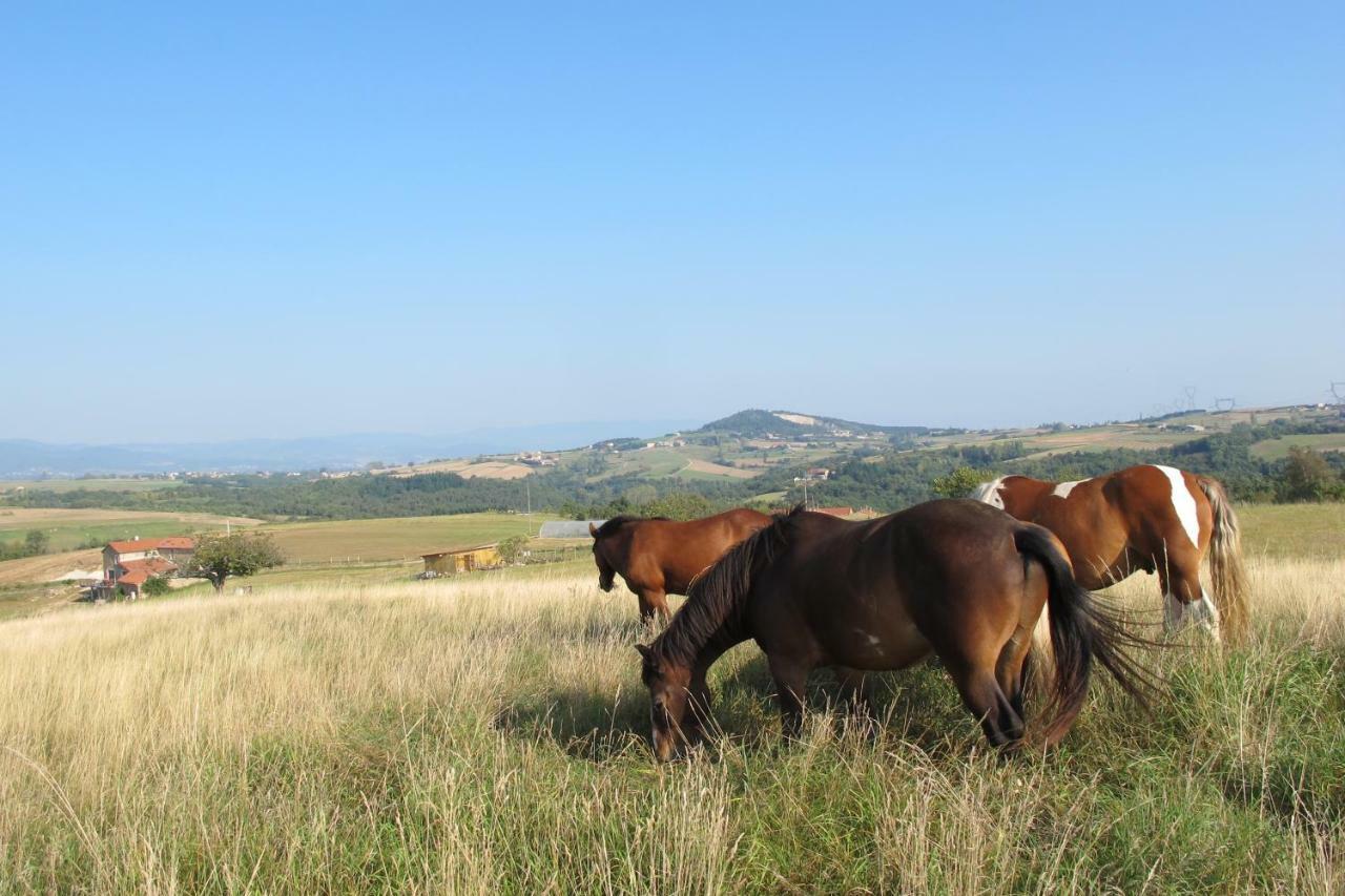 Gite Le Corral Cheminas Exterior foto